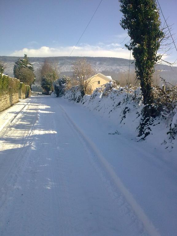 Macreddin Rock Bed & Breakfast Aughrim Εξωτερικό φωτογραφία