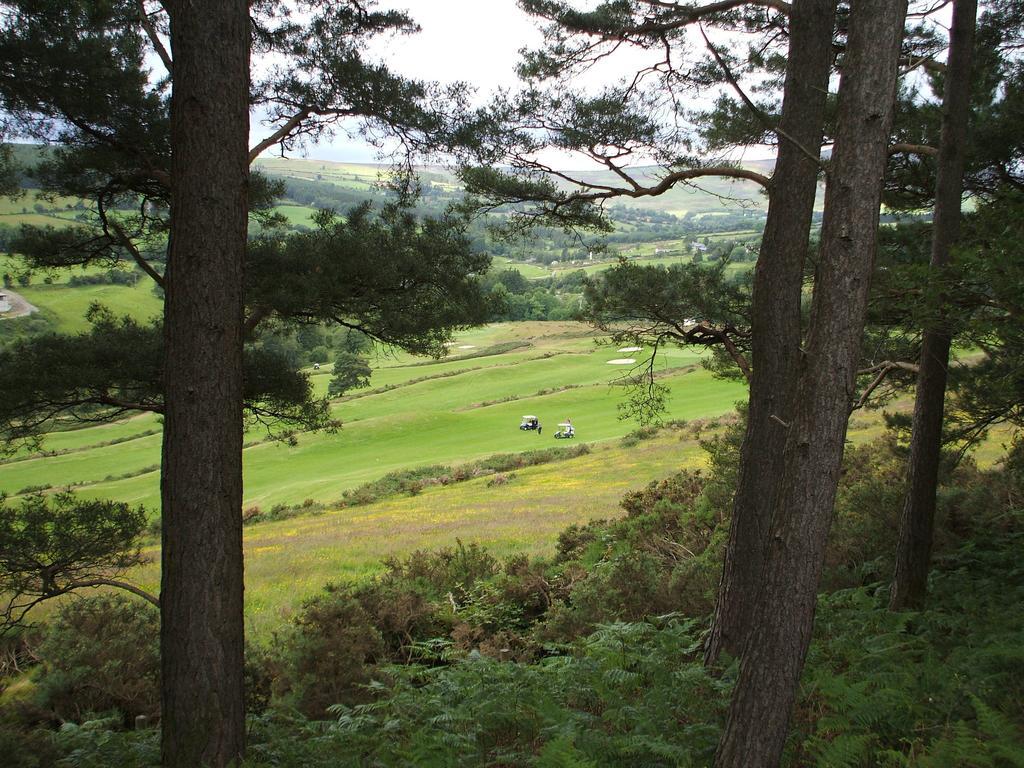 Macreddin Rock Bed & Breakfast Aughrim Εξωτερικό φωτογραφία