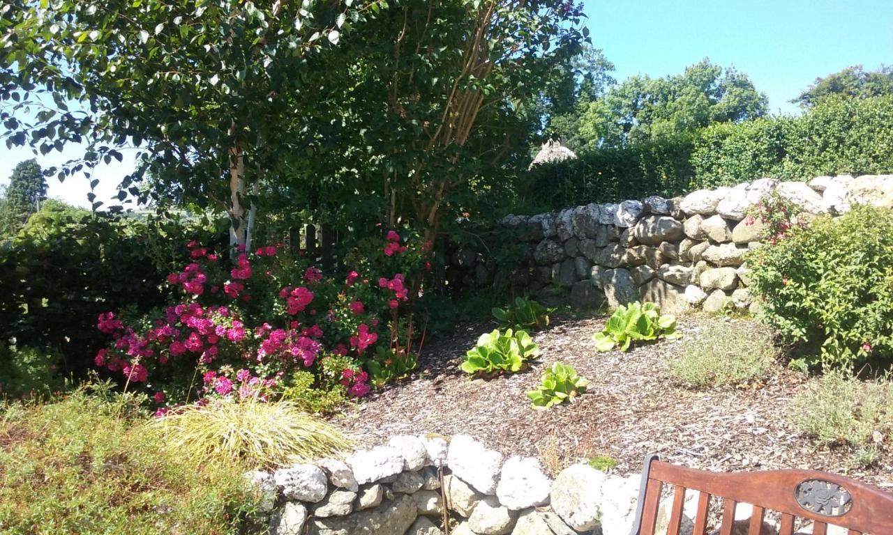 Macreddin Rock Bed & Breakfast Aughrim Εξωτερικό φωτογραφία