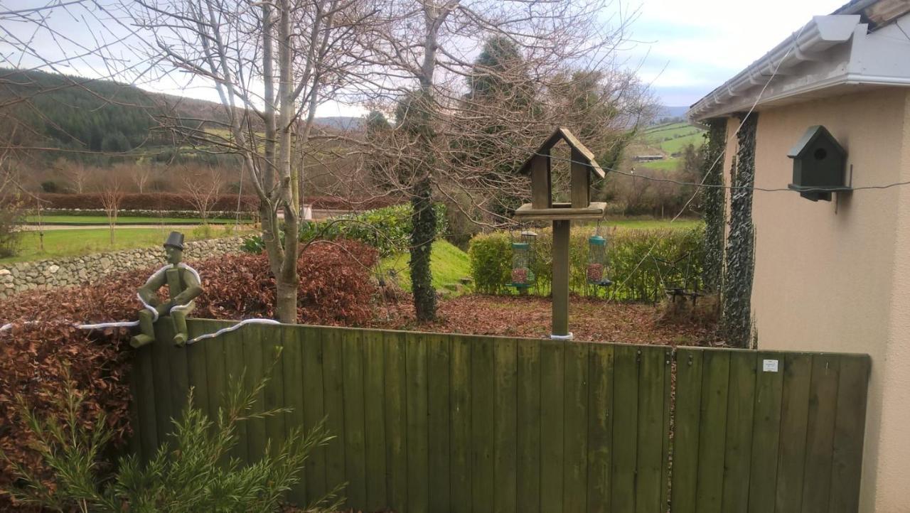 Macreddin Rock Bed & Breakfast Aughrim Εξωτερικό φωτογραφία