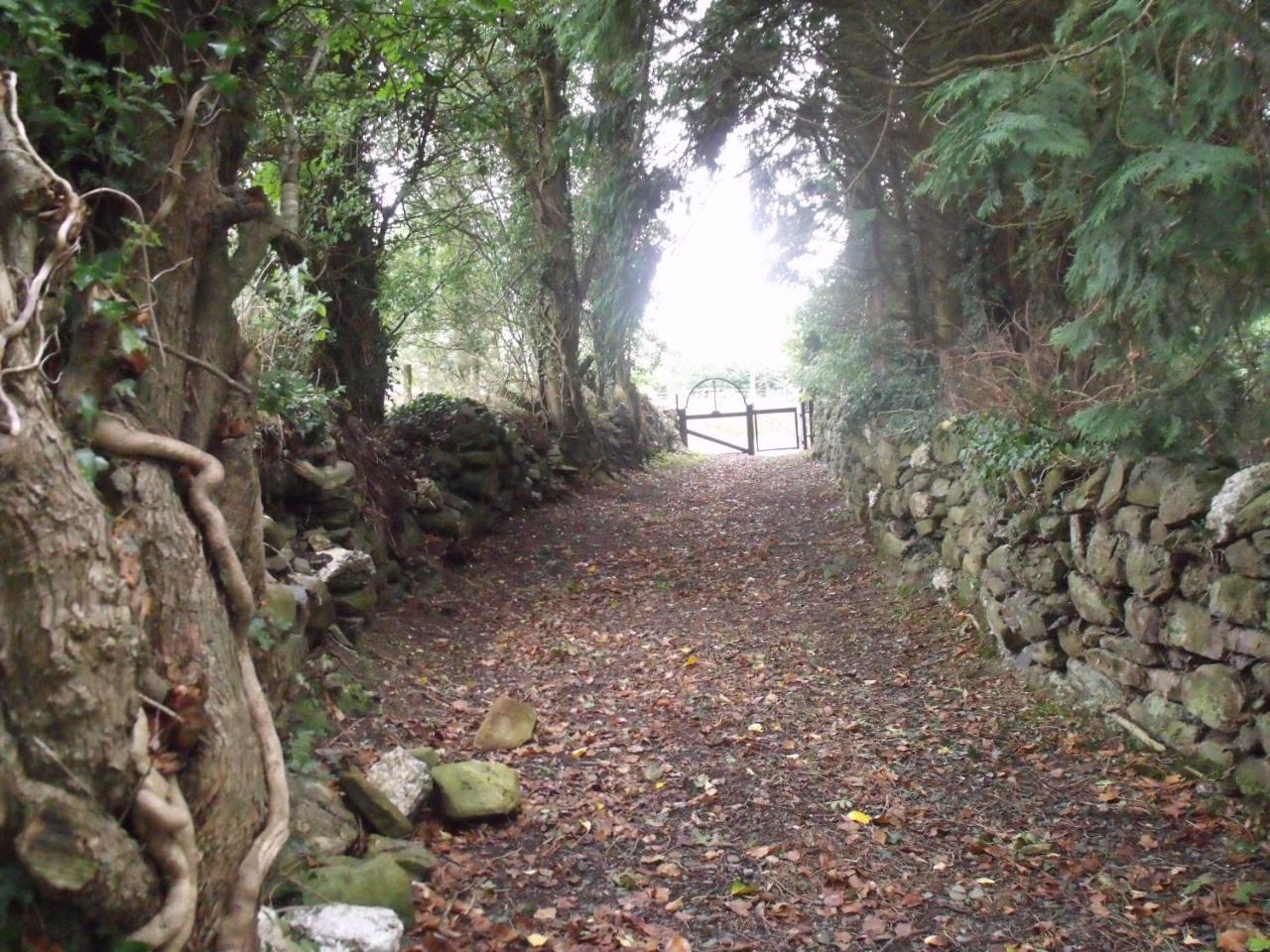 Macreddin Rock Bed & Breakfast Aughrim Εξωτερικό φωτογραφία