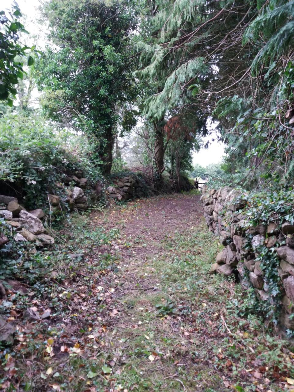 Macreddin Rock Bed & Breakfast Aughrim Εξωτερικό φωτογραφία